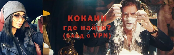 индика Абинск