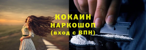 индика Абинск