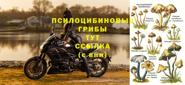 a pvp Алексин