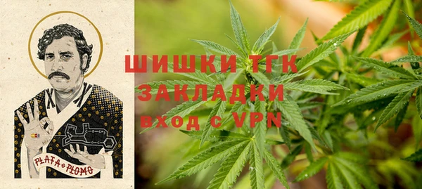 индика Абинск