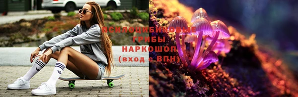 ГАЛЛЮЦИНОГЕННЫЕ ГРИБЫ Алексеевка