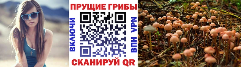 Псилоцибиновые грибы MAGIC MUSHROOMS  купить  цена  Уварово 