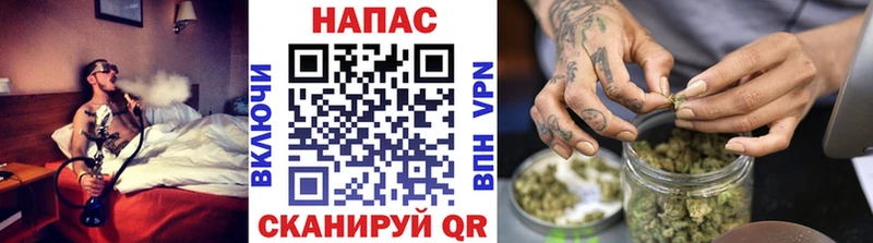 дарнет шоп  Уварово  Шишки марихуана сатива 